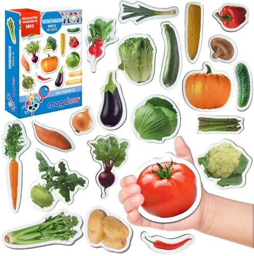 Fridge Magnets for Toddlers – Big 25 Vegetable - Educational Toy by magdum