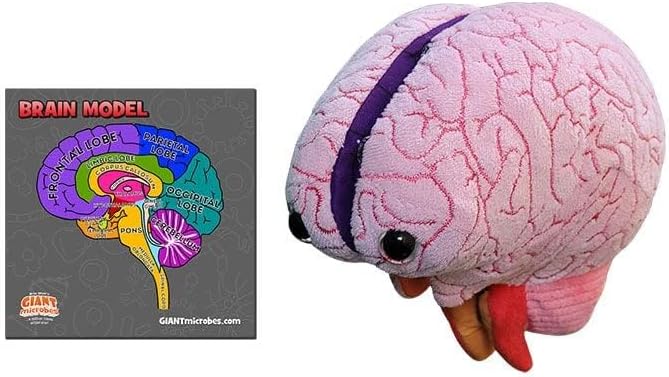 GIANTmicrobes Brain Model Anatomy Plush with Embroidered Details - Image 2
