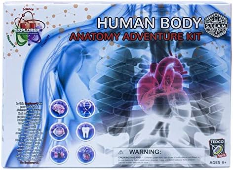 Explorer-U Human Body by TEDCOToys