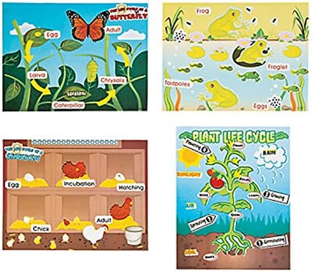 Life Cycle Sticker Scene Assortment ~ 3 each of 4 Life Cycles ~ 11" x 8 1/2" ~ New - Image 2