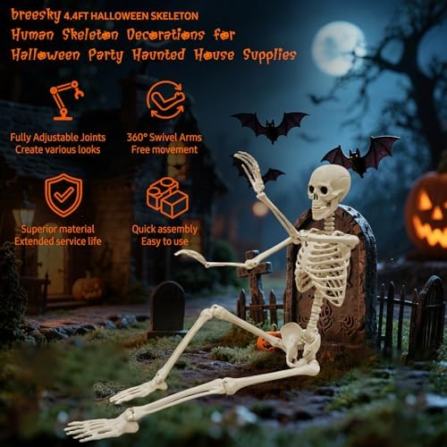 breesky Life Size Skeleton for Halloween: 4.43ft Realistic Human Anatomy Full Body Skeleton Model with 360° Posable Movable Arms - Skeletons for Outdoor Yard Haunted House Atmosphere Decoration - Image 3