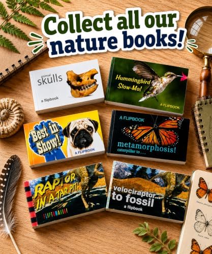 Butterfly Flipbook for Kids Ages 6-12, Animation Flip Book for Children - Image 4