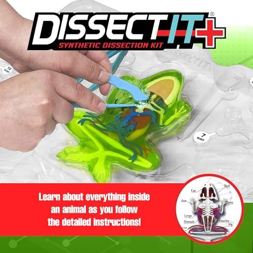 Dissect-It, Premium Frog Dissection Kit, STEM Toys for Kids, Ages 6+ - Image 4