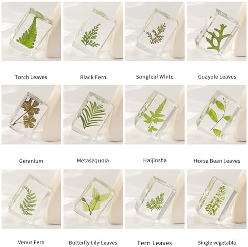 12pcs Dried Green Plant Flower Drip Gel Specimen, Children's Hobby Science Education Products, Microscope Observed Green Leaf Specimen - Image 3