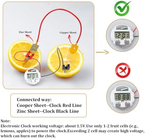 Science Kits for Kids Age 8-12, 6 Pack Fruit Battery Bulk STEM Circuit Kits - Image 4