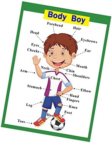 SANTSUN 2 Pcs of Set Educational Preschool Poster for Toddlers and Kids|Great for Nursery Homeschool Kind Classroom decorations|School Wall Decor- Transportation,Body Parts (17x24in) - Image 6