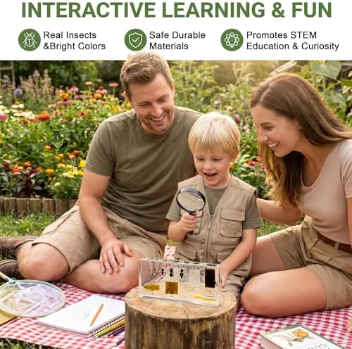 Life Cycle of Common Insect Specimen, Resin Collection Science Toys for Kids Aged 3-12 (Honeybee) - Image 3