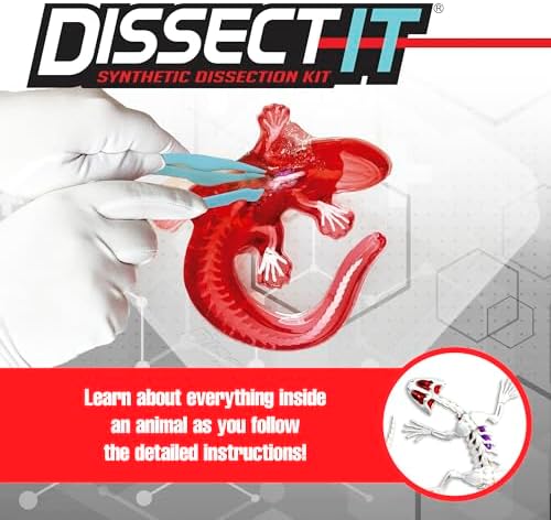 Dissect-It Kit for Kids, Simulated Synthetic Lab Dissection Toy, Salamander STEM Toys for Animal Science, Biology, and Anatomy - Image 2