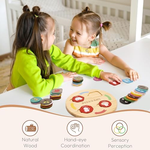 Woodtoe Life Cycle Toys, 12 Themes Montessori Science Toys for Kid Ages 3-6 - Image 6