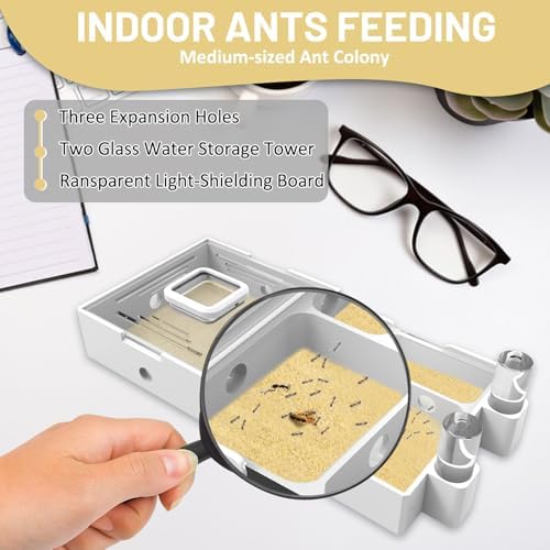 Nest Farm for Live Ants and Queen - Ant Farms with Yellow Sand Observation Transparent Ant Farm for Adults 3D Printed Nest Ant Workshop Castle Ant Garden Queen (Kit-B) - Image 3