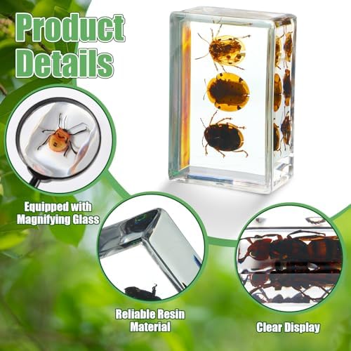 Lineshading 70 Pcs Resin Insects Specimen with 7 Magnifier for Kids Science - Image 3