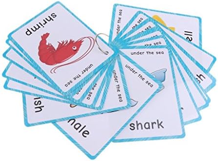 20 pcs Sea Animals Flash Cards for Toddlers | Marine Animals Learning Cards & Montessori Pocket Cards Perfect for Pre-K Wall Stickers and Insect Themed Party, Teacher/Autism Therapists Tools - Image 6
