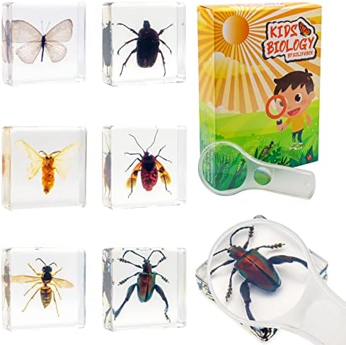 6 PCS Resin Insect Specimen Set, Butterfly, Jewel Frog Beetle, Silk Moth, Chafer, Stinkbug, Wasp, Science Education Toy for Kids by EJLIFEBOX