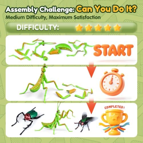 Drefirsa 8Pcs Realistic Bug Building Toy, Educational Toy for Kid Age 6+ - Image 3