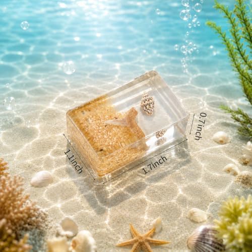 16 Pcs Ocean Animal Scenery Insect in Resin Specimen Bugs Collection Paperweights，16 Styles Scenery Real Bug Specimen Bug Kit Preserved in Resin for Scientific Display Supplies - Image 2