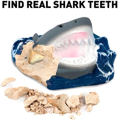 National Geographic Dig Kit: Shark Teeth Fossils, Archaeology & Marine Biology for Kids - Image 2