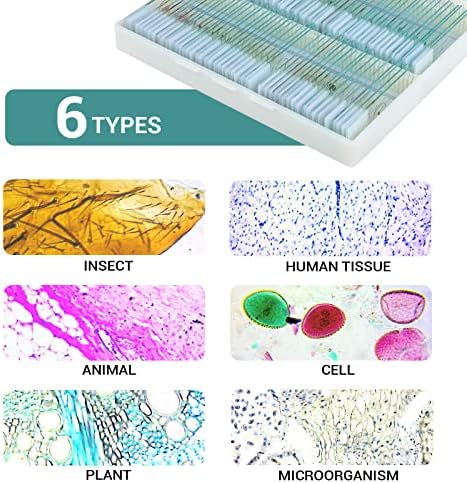 100Pcs Prepared Microscope Slides with Specimens for Kids Science Learning - Image 3