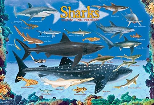 Sharks 100 Piece Jigsaw Puzzle - Image 2