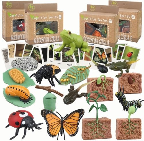 Mbrain Life Cycle Learning & Education Toys,Montessori Toys Figurines for Frog, Butterfly, Ladybug,Plants Kit,Gift for Girl & Boy for 3 4 5 Year Old by Mbrain