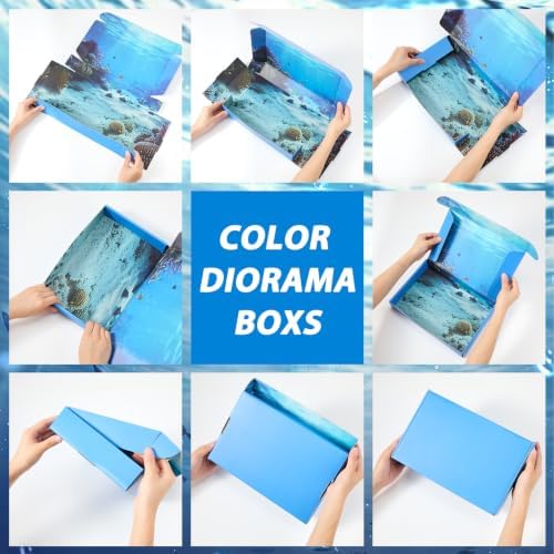 AmazingSpark 15 Pcs Ocean Diorama Box Kit Sea Habitat Project Box Set - Image 5