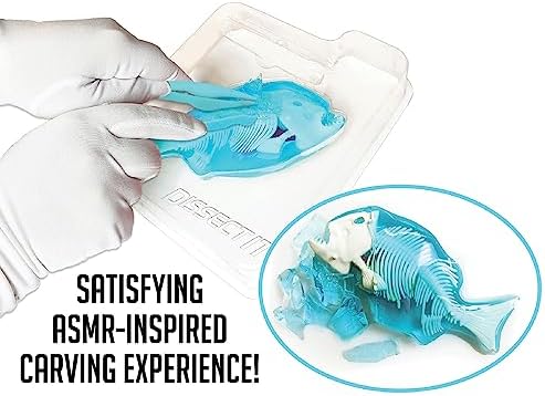 Dissect-It, Piranha Dissection Kit, STEM Toys for Kids, Ages 6+ - Image 4