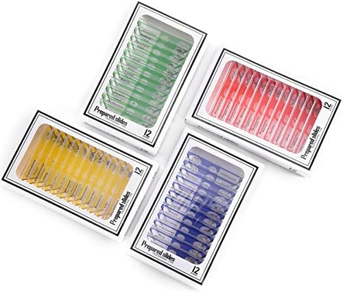 48pcs Plastic Prepared Microscope Slides by cainda