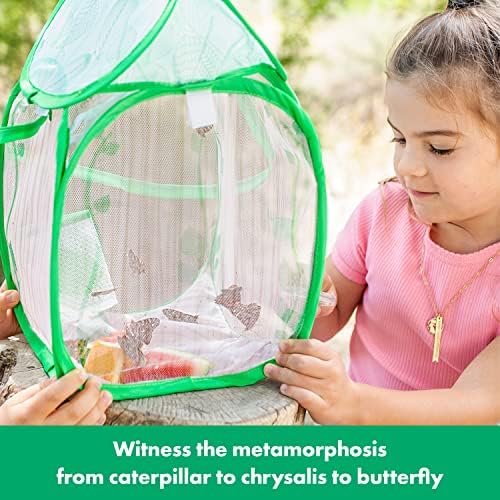 Educational Insights GeoSafari Jr. Butterfly Bungalow, Science Kit with Live Caterpillars, Home & Classroom Insect Habitat, Raise & Release Your Own Butterflies, STEM Gift for Kids Ages 4+ - Image 2