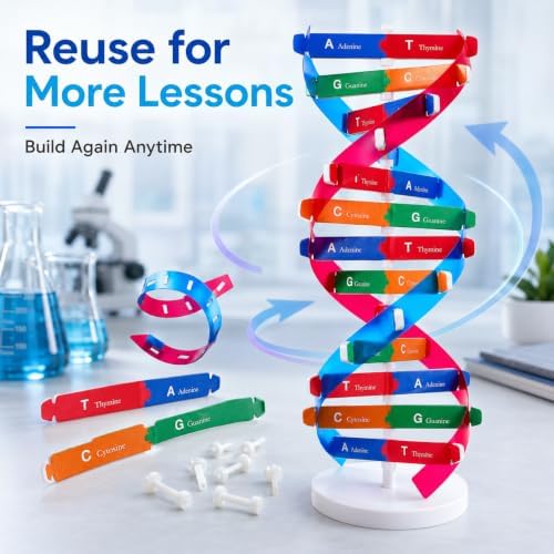 Toddmomy Educational DNA Double Helix Model Kit for Kids DIY Structure Science Toy Interactive Biology Learning Aid Classroom Decor 14. 5" - Image 2