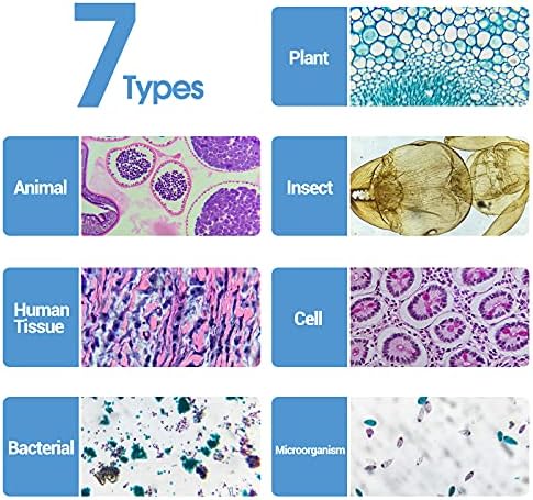 30 Microscope Slides with Specimens for Kids, Prepared Microscope Slides for Kids Microbiology, Glass Slides for Microscope, Biology Gifts for Adults Kids - Image 5