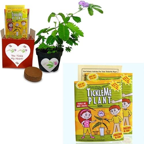 Item 1 (2) TickleMe Plant Seed Packets Item 2 You Tickle My Heart Valentine's Day Set to Easily Grow the House Plant that Closes Its Leaves When You Tickle it or Blow It a Kiss! by TickleMePlantandZOMBIEPLANTProducts