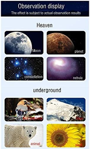 50-100mm Caliber Mount Travel, Portable Refractor,Stargazing HD for Adult Students - Ideal for Beginners, with Carry Bag,Smartphone Holder - Image 6
