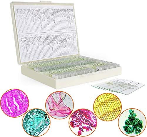 Biological Slides Microscope Slides for Kids Biology Lab Sample with Insect Plants Flower Microorganism for Homeschool Use Science Education-100 pcs by Unknown