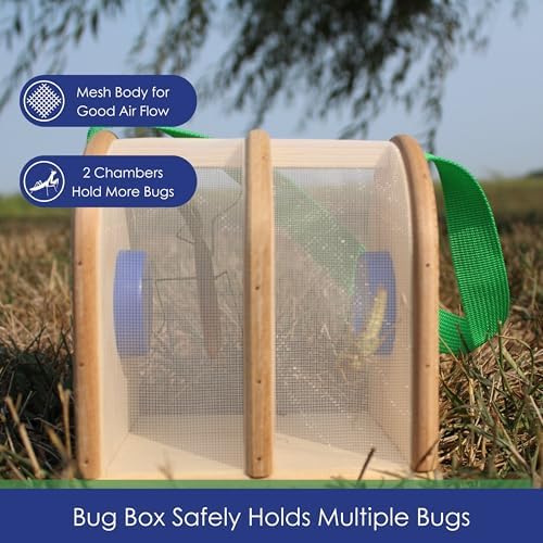 Wooden Bug Box - Dual Chamber Insect Habitat - Image 4