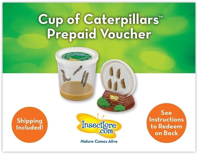 Insect Lore Butterfly Garden Experience | No Fee Prepaid Voucher | Redeem Raise and Release 5 Baby Painted Lady Caterpillars | Observation Habitat and All Supplies Included - Image 4