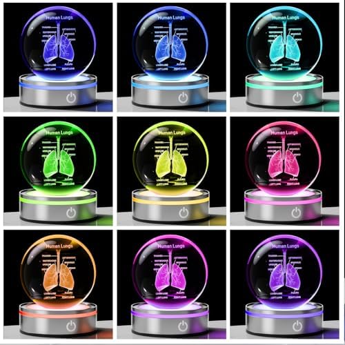 3D Human Lung Model Crystal Ball Doctor Gifts for Women Men, Laser Etched Glass Anatomical Lung Figurine Science Biology Surgeon Decor Graduation Gifts for Medical Student with LED Base - Image 2