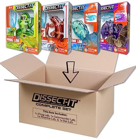 Dissect-It, Variety Animal Dissection Kit, STEM Toys for Kids, Ages 6+ - Image 4