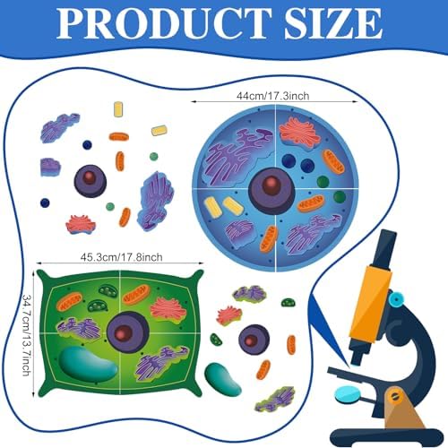 2 Set Magnetic Animal and Plant Cell Anatomy Biology Model Set - Image 2