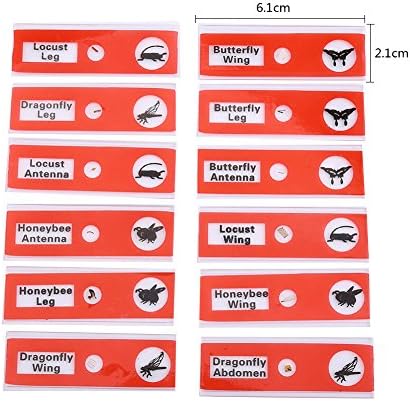 12PCS Prepared Microscope Slides, Plastic Colored Biological Sample Biology Slides Root Viewer Kit Microscope Accessories for Students Education (Red) - Image 2