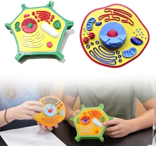 Plant Model Toy Plant Anatomy Models Cell Model 3D Printed Cell Models Biology Teaching Tool for Teaching Demonstration - Image 2