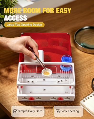 Ant Terrarium Kit, Ant Habitat with Large Viewing Window, 3D Printed Escape Resistant, Red Cover, Water Tower, 3 Expansion Ports and Spacious Foraging Area for Ant Keeping Beginners & Hobbyists - Image 5