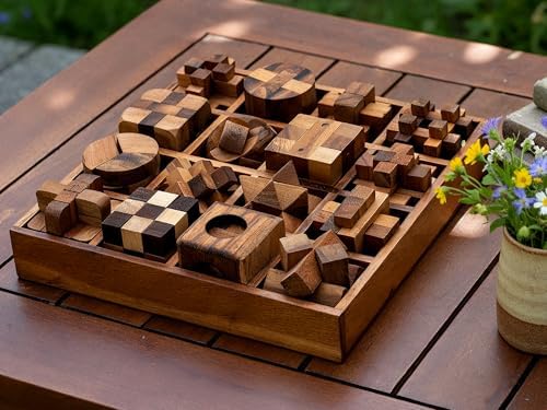 BSIRI 16 in 1 Wooden Brain Teaser Puzzles for Adults and Seniors Interlocking 3D Mini Wood Mind Games Hand Puzzle Teasers Set Toys Coffee Table Games Gift - Image 6