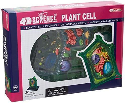 Famemaster 4D-Science Plant Cell Anatomy Model by TEDCOToys