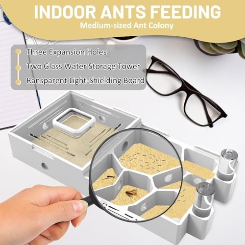 Nest Farm for Live Ants and Queen - Ant Farms with Yellow Sand Observation Transparent Ant Farm for Adults 3D Printed Nest Ant Workshop Castle Ant Garden Queen (Kit-A) - Image 3