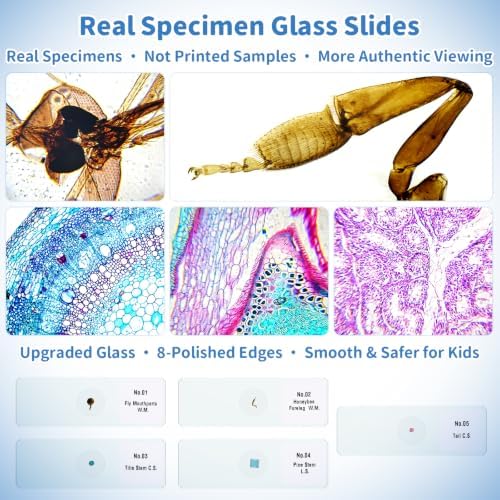 Kids Handheld Digital Microscope 1000X: Science Gift Kit STEM Toy Ages 5-13 - Image 4