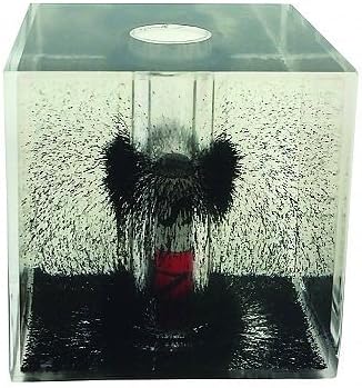 American Scientific Magnetic Field Cube by Unknown