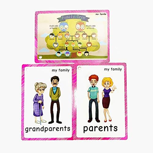 Family Tree flashcards for Toddlers(22 pcs)| English Learning Cards for Kindergarten Classroom Decoration | Perfect for Pre-K Decor Background Wall Stickers, Teacher/Autism Therapists Tools - Image 4