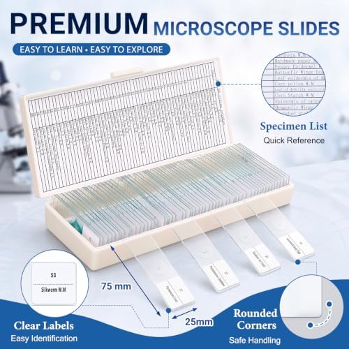 Tellegloww 60 Pcs Prepared Microscope Slides with Specimens for Kids - Image 3