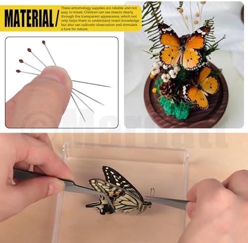 Mardatt 15Pcs Making Insect Specimen Tools Kit, Insect Pinning Kit with Insect Pinning Block, Insect Pinning Board, Insect Pins, Wings Pressing Paper, Insect Display Case, Tweezers, Scissors - Image 5