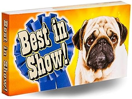 Best in Show Dog Flipbook for Kids 6-12, Animation Flip Book for Children by Fliptomania