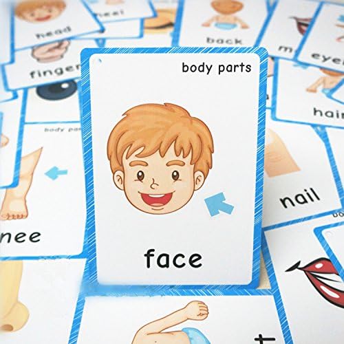 SANTSUN Body Parts Flashcards - Educational Learning Word Card for Class - Image 5